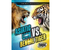 Asiatic_lion_vs__Bengal_tiger
